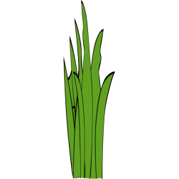 Grass Blades and Clumps 2