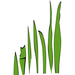Grass Blades and Clumps 6