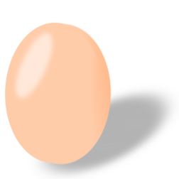 Egg-1641246767