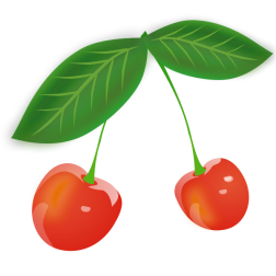 Cherry vector image