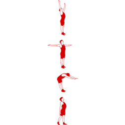Exercise collection