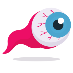 Eye anatomy