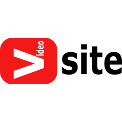 Fake Video Site Logo