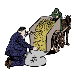 Man with cash