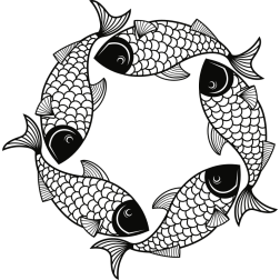 Fish frame star