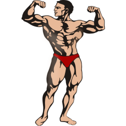 Bodybuilder posing