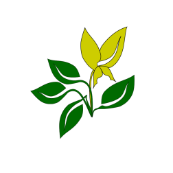 Geometric flower shape