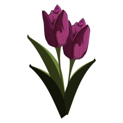 flower 19b