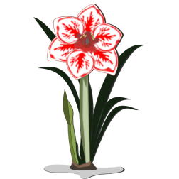 flower 20a