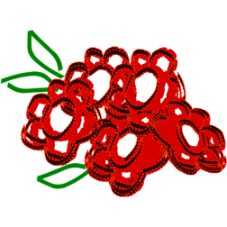 flowers13