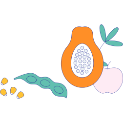 Fruits and veggies