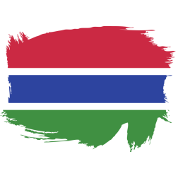 Gambia painted flag