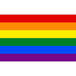 Gay pride rainbow color flag