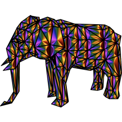 Elephant Geometric Chromatique Pattern