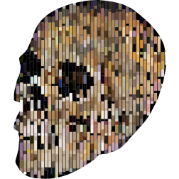 Abstract Rectangles geometric skull