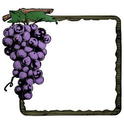Grapes square frame-1644602257
