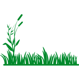 Grass vector background