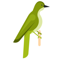 Green bird