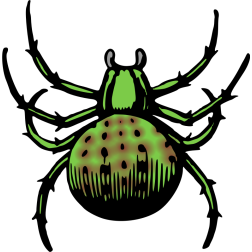 Creepy green spider