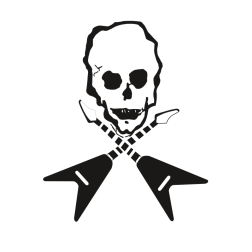 Guitar skull