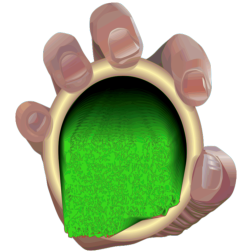 Hand Grasping-1674154693