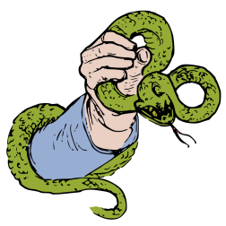 Snake in a hand