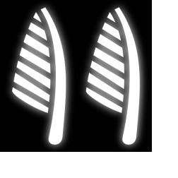 hieroglyph y