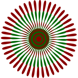 Sternblume
