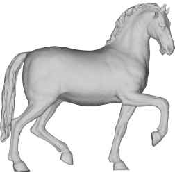 Walking horse