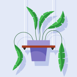 Houseplant on the wall