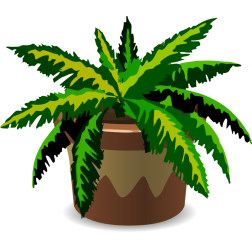 Spiky house plant