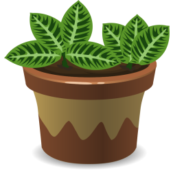 House Plant With Green Leaves