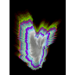 Glowing dove