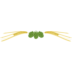 Hops and barley vector