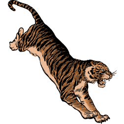 Jumping tiger
