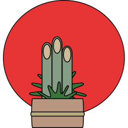 kadomatsu2017