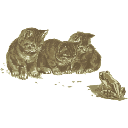 Kittens and a toad