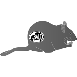 Mouse with symbol