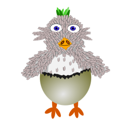 kuecen