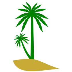 Green palm tree