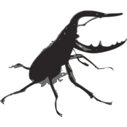 kuwagata