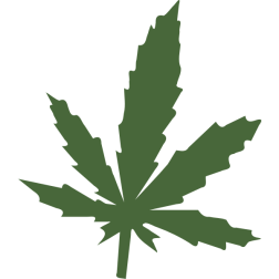 leaf1