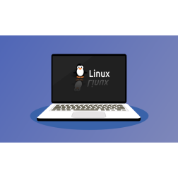 Linux Laptop