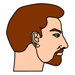 man 55