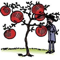 Man admiring apple tree