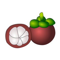 manggis