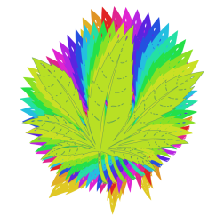 Rainbow marijuana leaf