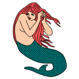 mermaid 15