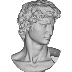 Michelangelos David Bust 3D