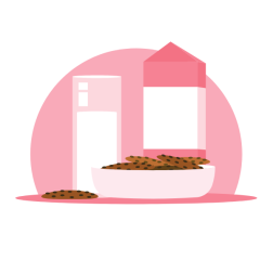 Milk and cereals